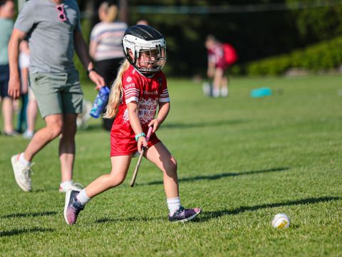 Camogie