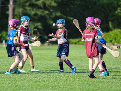 Camogie