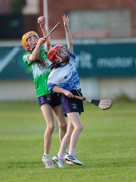 Camogie