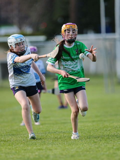 Camogie