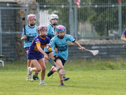 Camogie