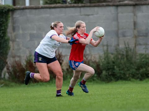 Ladies Senior team 2025