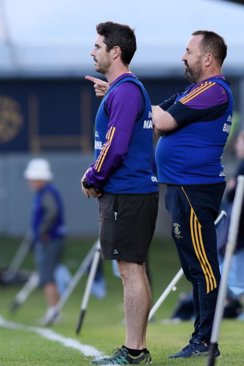 Paddy