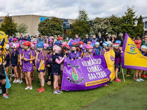 Kilmacud Crokes U8