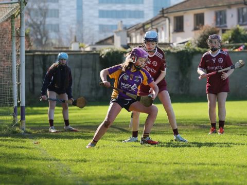 Action shot