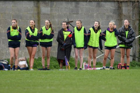 Substitutes looking at the action