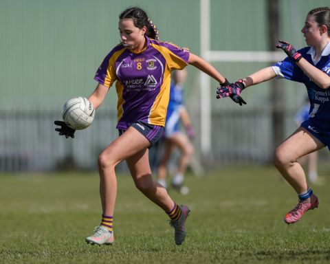 Kilmacud number 8 soloing the ball