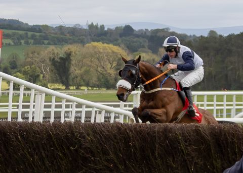 Punchestown 2026