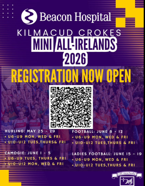 mini all irelands