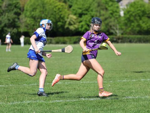 Action shot