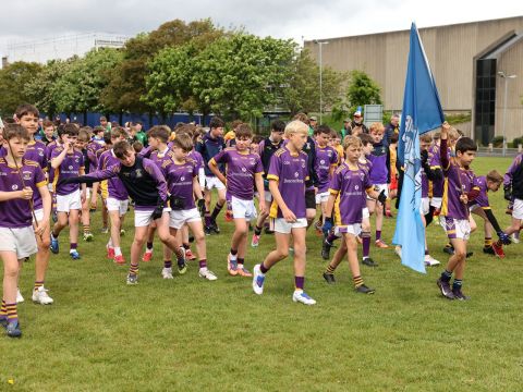 crokes