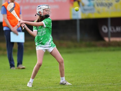 Action shot