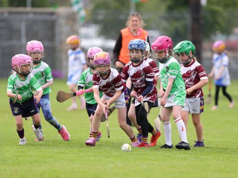Mini All Irelands