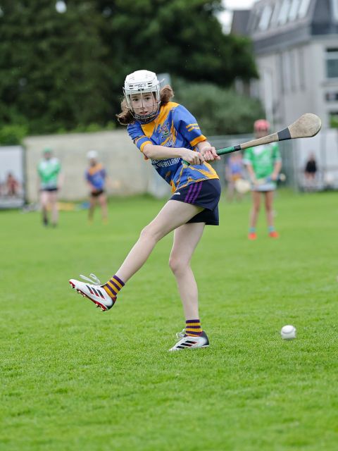 Mini All Irelands