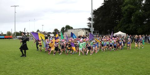 Mini All Irelands