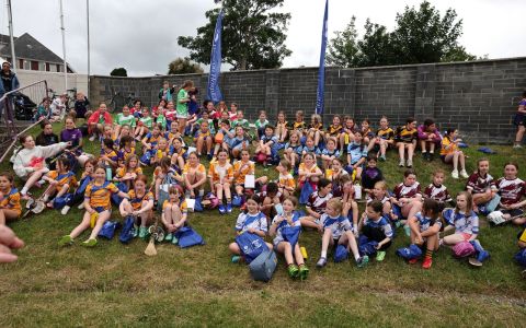 Mini All Irelands
