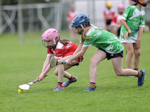 Mini All Irelands