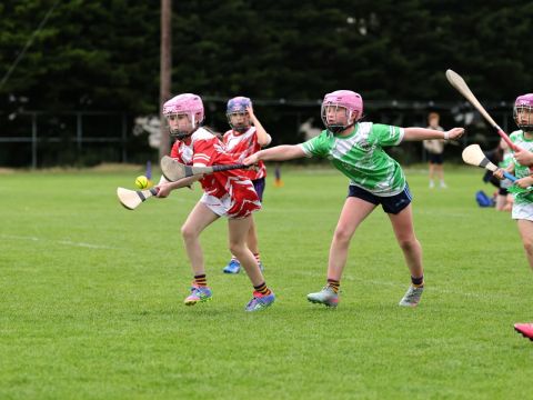Mini All Irelands
