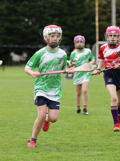 Mini All Irelands