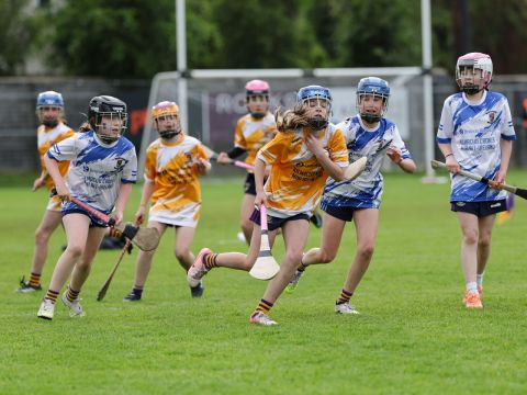 Mini All Irelands