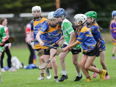 Mini All Irelands