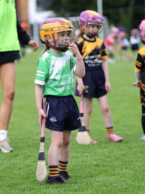 Mini All Irelands