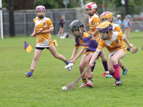 Mini All Irelands