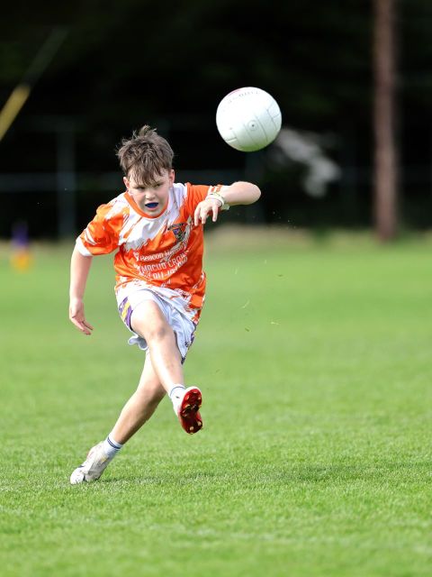 Boys Mini All-Ireland 2-4