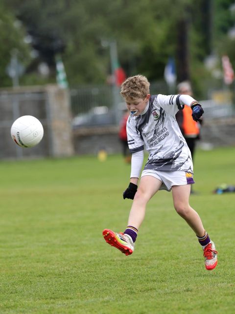 Boys Mini All-Ireland 2-16