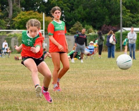 26