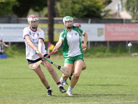 Action shot