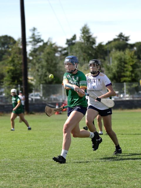Action shot