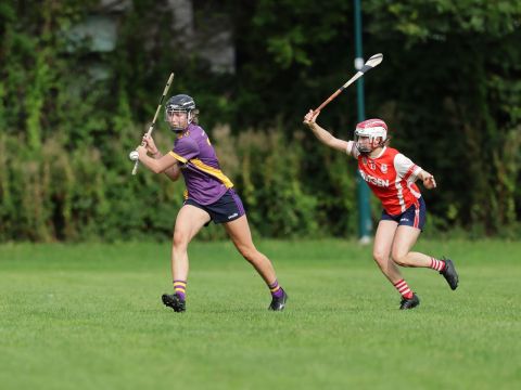 Action shot