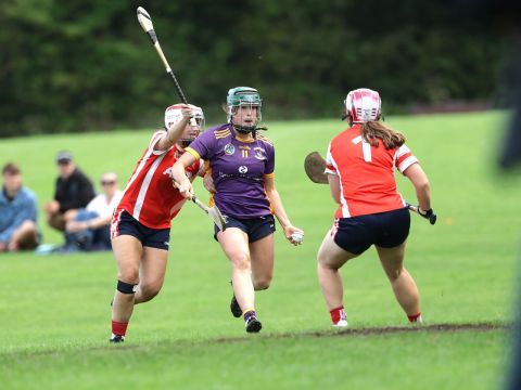 Action shot