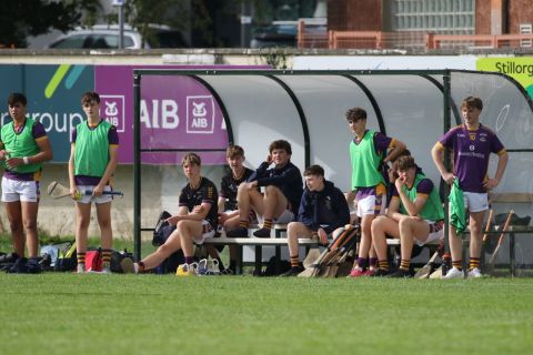 Bench